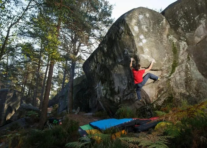 Apartamento Duplex Napoleon Center Quiet Fontainebleau